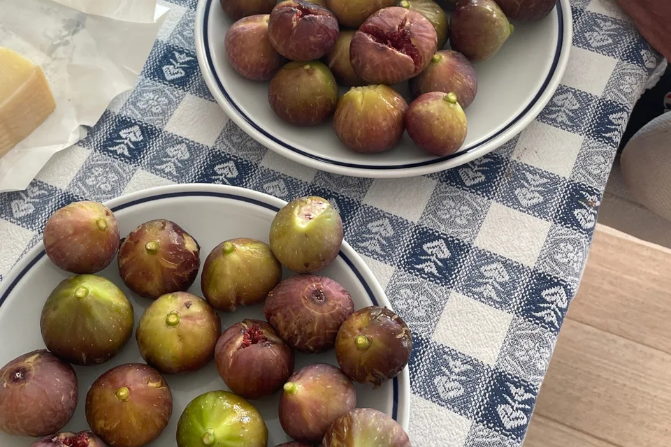 A bowl of figs on a blue checked tablecloth